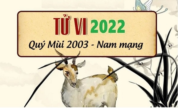 Tử vi năm 2022 tuổi QUÝ MÙI sinh năm 2003 Nam Mạng-2