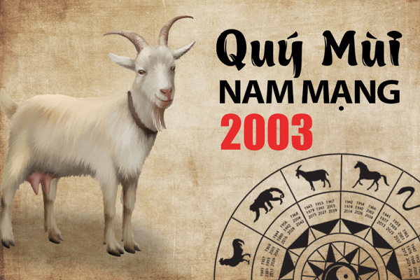 Tử vi năm 2022 tuổi QUÝ MÙI sinh năm 2003 Nam Mạng-3