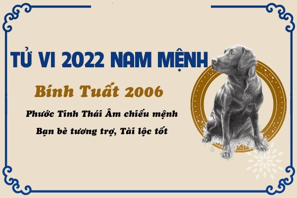 Xem tử vi năm 2022 tuổi BÍNH TUẤT sinh năm 2006 [Nam Mạng]-3