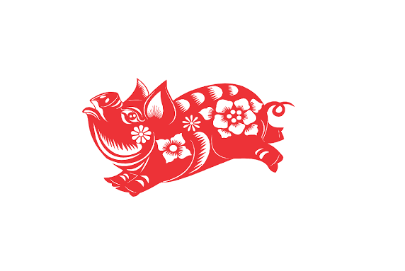 Tử vi năm 2022 tuổi ẤT HỢI sinh năm 1995 [Nam Mạng]-2