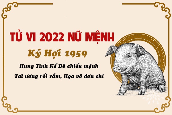 Xem tử vi năm 2022 tuổi KỶ HỢI sinh năm 1959 [Nữ Mạng]-2