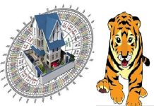 Tuổi Bính Dần năm 2022 có làm nhà được không