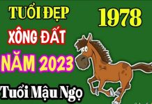 Xem tuổi xông nhà năm 2023 tuổi Mậu Ngọ 1978