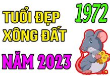Xem tuổi xông nhà năm 2023 tuổi Nhâm Tý 1972