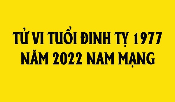 Xem tử vi 2022 tuổi ĐINH TỴ sinh năm 1977 Nam Mạng-2