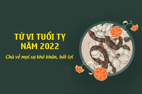 Xem tử vi 2022 tuổi ĐINH TỴ sinh năm 1977 Nam Mạng-3
