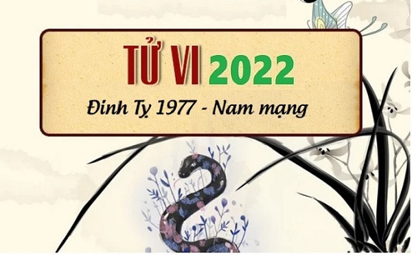 Phong Thủy Duy Linh- Luận Tử vi tuổi Đinh Tỵ năm 2022 nữ mạng #1977 về Tài Lộc, Công danh Xem tử vi Đinh Tỵ nữ mạng 2022 cho thấy năm nay...
