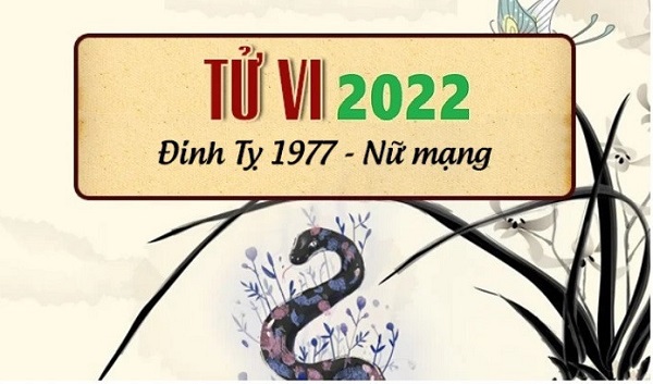 Xem tử vi 2022 tuổi ĐINH TỴ sinh năm 1977 Nữ Mạng-1