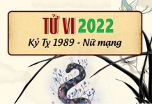 Xem tử vi 2022 tuổi KỶ TỴ sinh năm 1989 Nữ Mạng