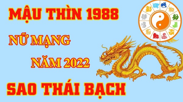 Xem tử vi 2022 tuổi MẬU THÌN sinh năm 1988 Nữ Mạng-3 Xem tử vi 2022 tuổi MẬU THÌN sinh năm 1988 Nữ Mạng-3