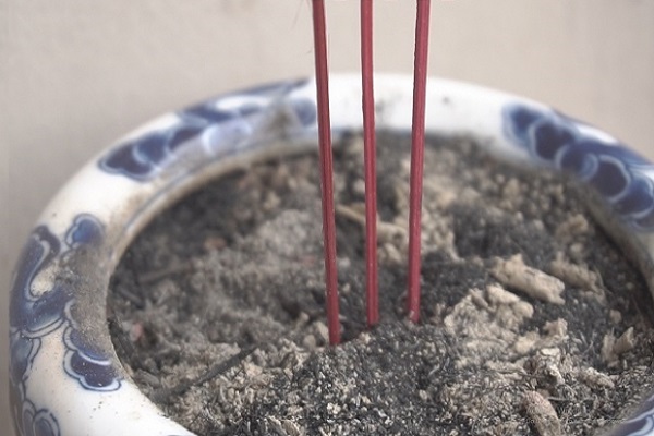 Ngày đẹp tỉa chân nhang năm 2022, 2023, 2024-3