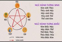 Ngũ Hành Tương Sinh Tương Khắc Là Gì? Quy Luật Và Ứng Dụng Quy luật ngũ hành tương sinh tương khắc