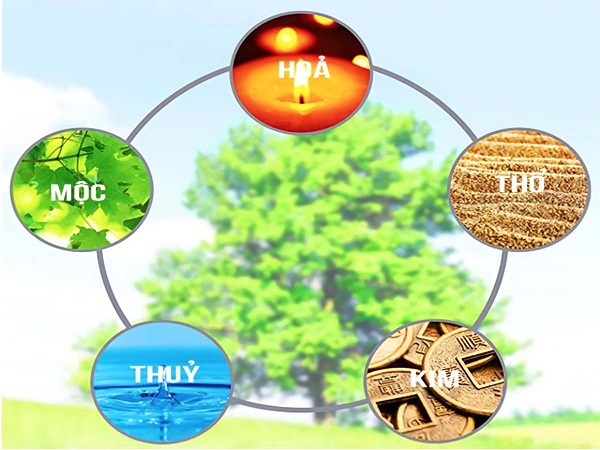 Ngũ Hành Tương Sinh Tương Khắc Là Gì? Quy Luật Và Ứng Dụng-2 Ngũ Hành Tương Sinh Tương Khắc Là Gì? Quy Luật Và Ứng Dụng-2