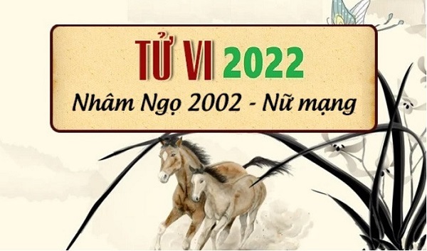 Xem tử vi 2022 tuổi NHÂM NGỌ sinh năm 2002 Nữ Mạng-3