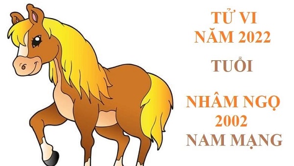 Xem tử vi 2022 tuổi NHÂM NGỌ sinh năm 2002 Nam Mạng-2