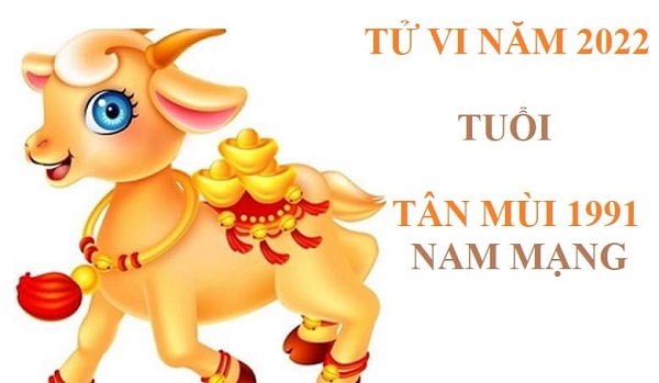 Tử vi năm 2022 tuổi TÂN MÙI sinh năm 1991 Nam Mạng-2