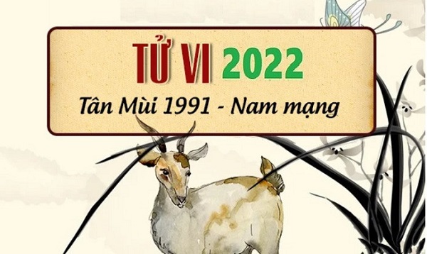 Tử vi năm 2022 tuổi TÂN MÙI sinh năm 1991 Nam Mạng-3