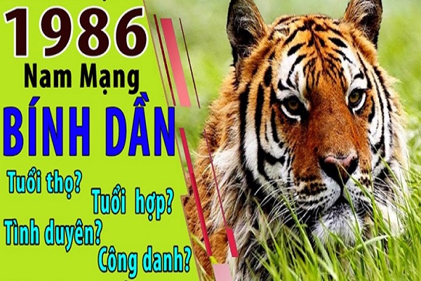 Xem tử vi 2022 tuổi BÍNH DẦN sinh năm 1986 Nam Mạng-2