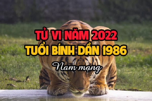 Xem tử vi 2022 tuổi BÍNH DẦN sinh năm 1986 Nam Mạng-1
