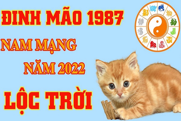 Tử vi tuổi Đinh Mão năm 2022 nam mạng 1987: May mắn, thuận lợi