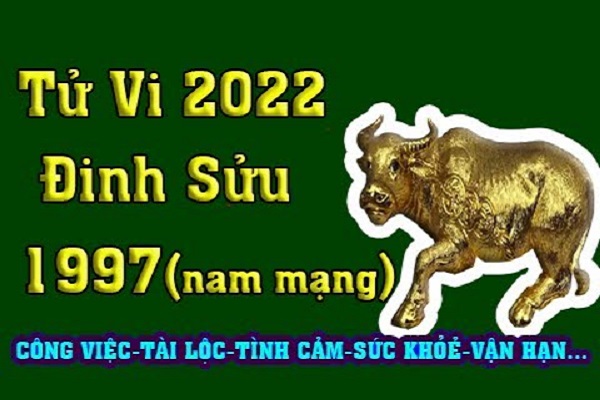Xem tử vi 2022 tuổi ĐINH SỬU sinh năm 1997 Nam Mạng-1 Xem tử vi 2022 tuổi ĐINH SỬU sinh năm 1997 Nam Mạng-1