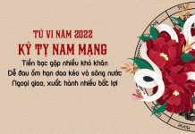 Xem tử vi 2022 tuổi KỶ TỴ sinh năm 1989 Nam Mạng