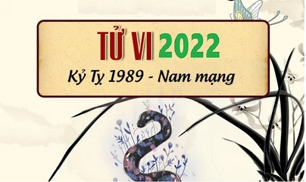 Xem tử vi 2022 tuổi KỶ TỴ sinh năm 1989 Nam Mạng-3