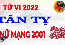 Xem tử vi 2022 tuổi TÂN TỴ sinh năm 2001 Nữ Mạng