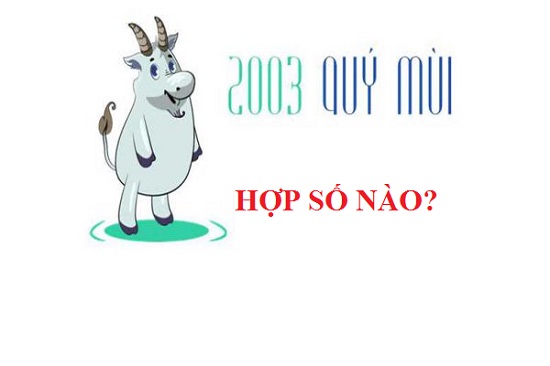 Sinh năm 2003 mệnh gì? Hợp màu gì, hợp số nào-3