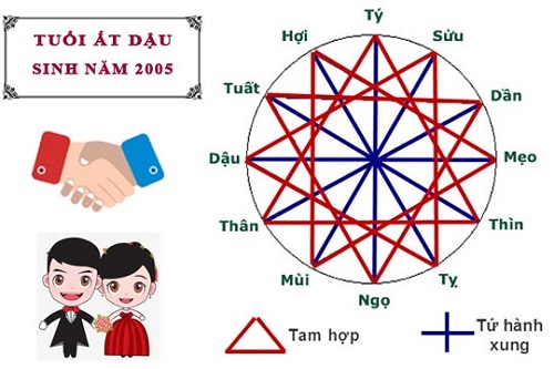 Sinh năm 2005 mệnh gì? Hợp màu gì? Chọn tuổi nào hợp-2 Sinh năm 2005 mệnh gì? Hợp màu gì? Chọn tuổi nào hợp-2
