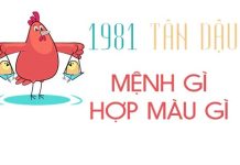 Nam nữ sinh năm 1981 mệnh gì? Hợp màu gì? Hợp cây nào