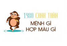 Người sinh năm 1980 mệnh gì? Hợp màu gì, hợp hướng nào