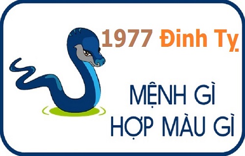 Giải đáp sinh năm 1977 mệnh gì? Hợp tuổi nào? Hợp màu gì-1
