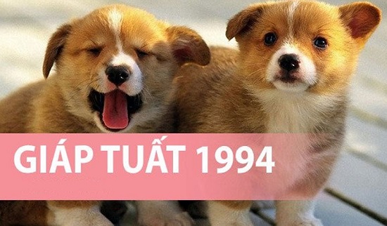Đánh giá tuổi Giáp Tuất 1994 làm ăn hợp với tuổi nào?-1