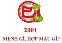 Sinh năm 2001 mệnh gì? Tuổi gì? Hợp màu gì nhất
