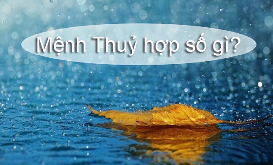 Nam nữ sinh năm 1983 mệnh gì? Cung gì? Hợp màu gì nhất?-3