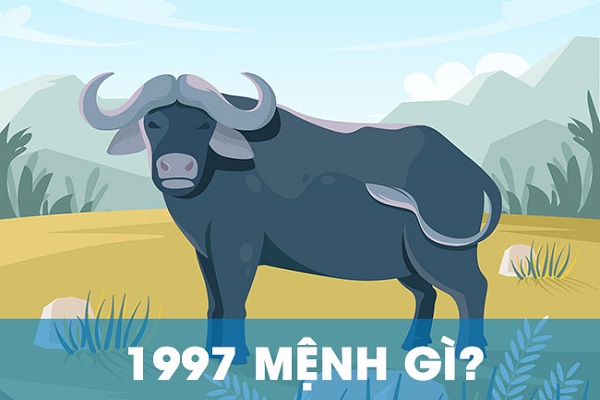 Sinh năm 1997 mệnh gì? Cung gì? Tuổi gì? Hợp hướng nào-1