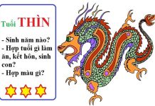 Sinh năm 2012 mệnh gì? Cung gì? Hợp hướng nào nhất