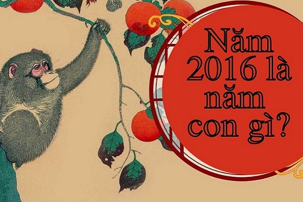 Sinh năm 2016 mệnh gì? Tuổi BÍNH THÂN 2016 hợp hướng nào-2