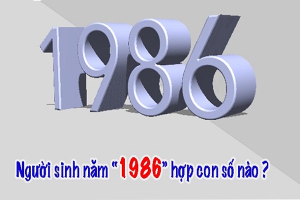 Cách chọn sim hợp tuổi Bính Dần sinh năm 1986-2