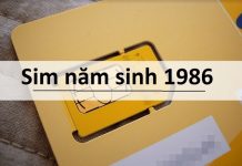 Cách chọn sim hợp tuổi Bính Dần sinh năm 1986