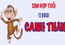 Canh Thân 1980 dùng số điện thoại nào để phát tài phát lộc