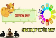 Chọn sim hợp tuổi Đinh Mão 1987 chiêu tài đón lộc