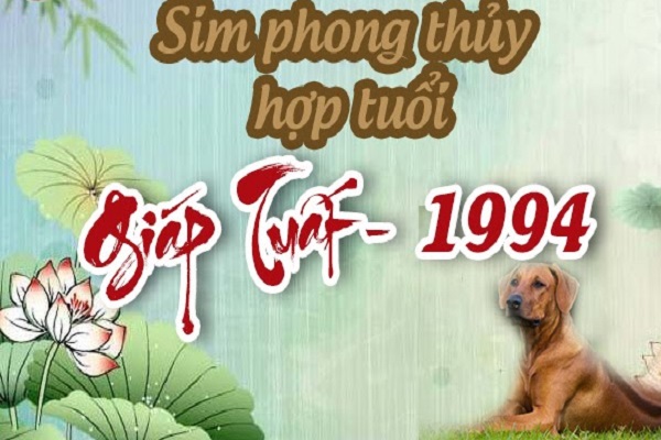 Tư vấn cách chọn sim hợp tuổi GIÁP TUẤT 1994 [nam nữ]-3