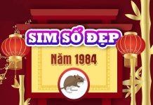 Sim phong thủy hợp tuổi GIÁP TÝ sinh năm 1984