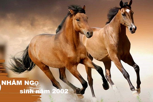 Cách chọn sim phong thủy hợp tuổi NHÂM NGỌ 2002-1