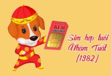 Cách chọn sim hợp tuổi Nhâm Tuất 1982 đón may mắn