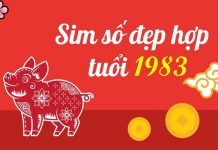 Chọn sim hợp tuổi Quý Hợi 1983 hút tài lộc, may mắn