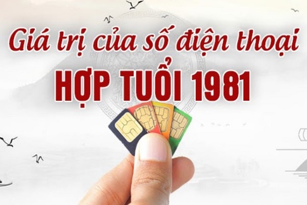 Chọn sim hợp phong thủy cho người sinh năm 1981 TÂN DẬU-2
