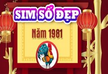 Chọn sim hợp phong thủy cho người sinh năm 1981 TÂN DẬU
